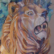 Shelley Schoenherr